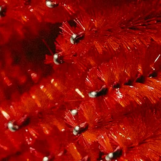 Volume package at No Loose Ends Spa & Beauty in Somerset, KY